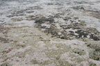 TEPIH ARGENTUM 0872_6444