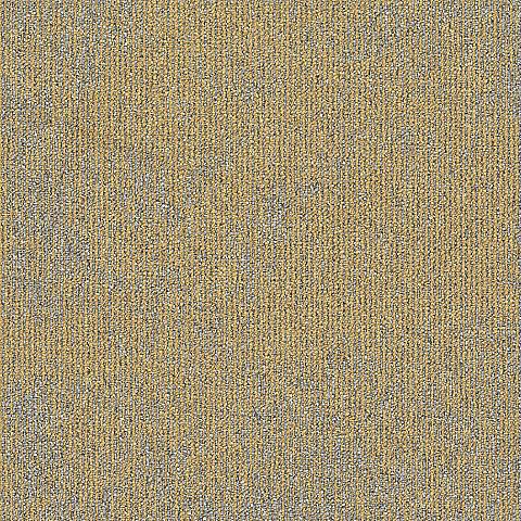 223 Titanium
