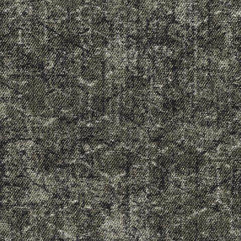 603 Lichen